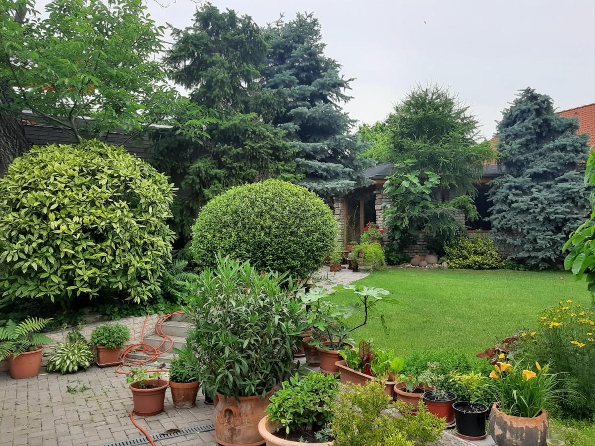 Visual Apartman Komárno Exteriér fotografie